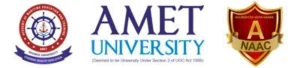 Amet logo 2